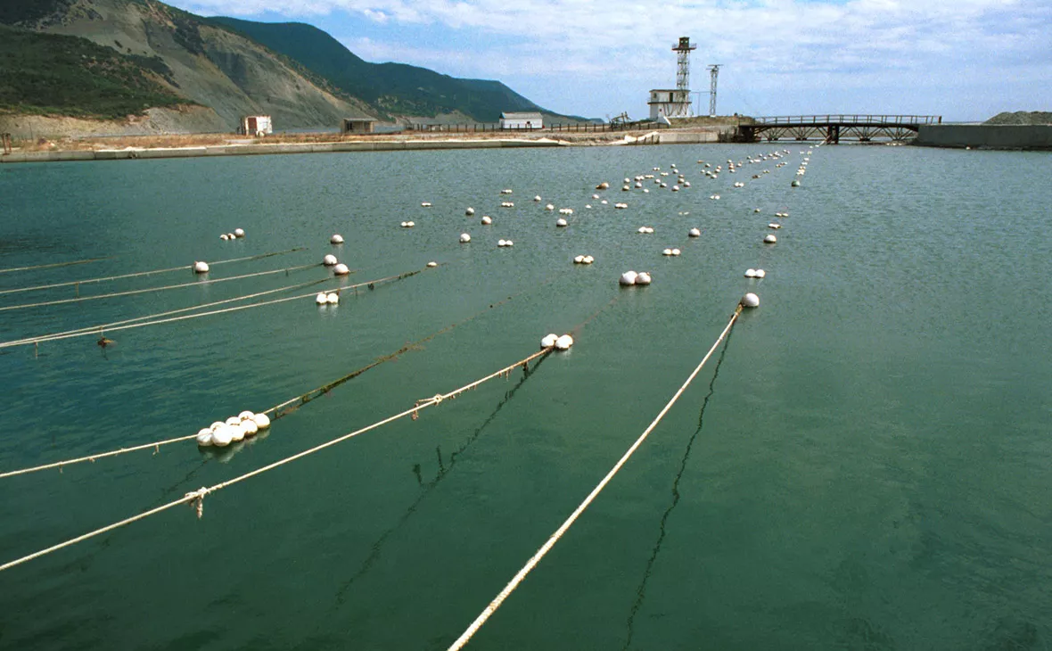 Владимир Гурин / ТАСС