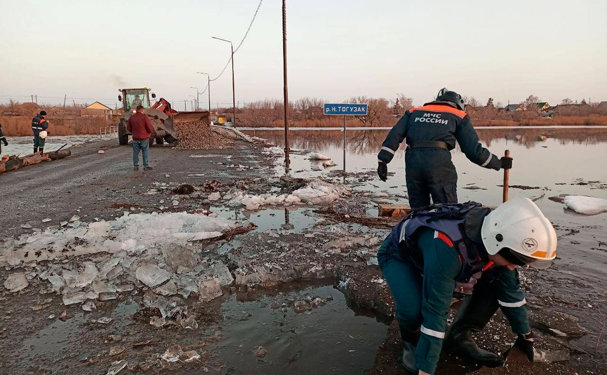 alexeytexlerofficial / Telegram