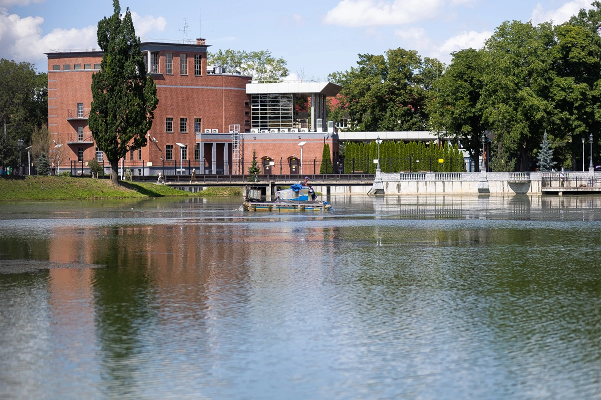 Александр Подгорчук