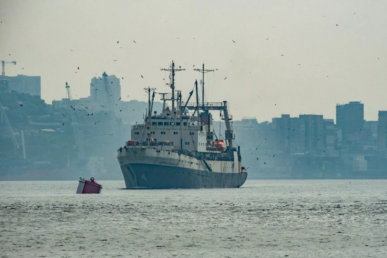 РБК Приморье