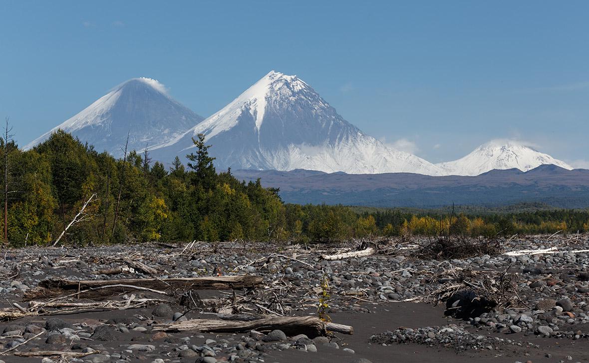 Фото: Александр Пирагис / РИА Новости