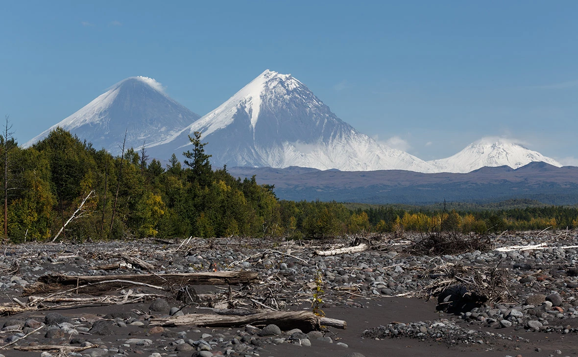 Александр Пирагис / РИА Новости