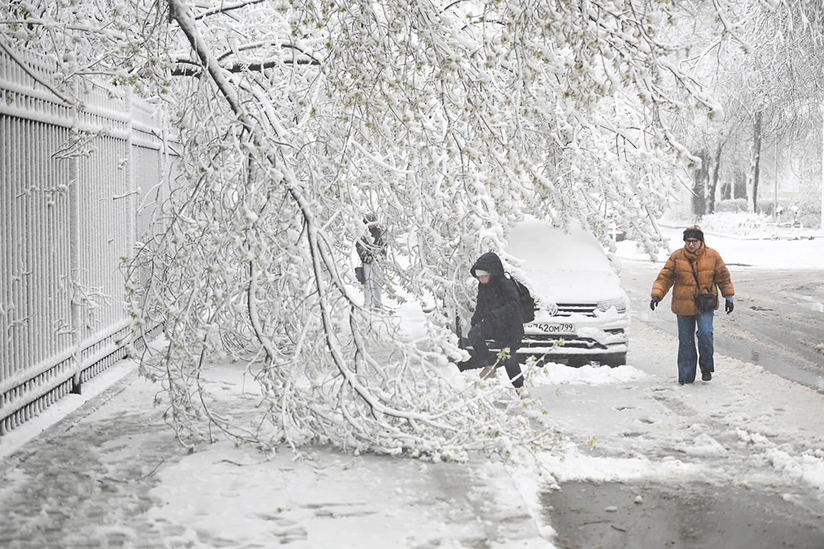 Снегопад в Москве, 27 апреля 2026 года