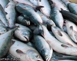 В пруду в Солнцево от теплового шока погибла почти вся рыба