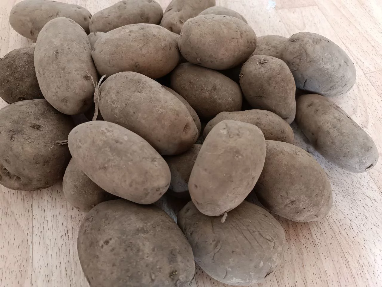 РБК Приморье