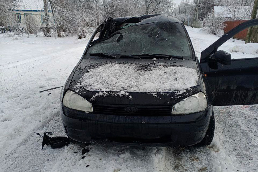 Фото: vvgladkov / Telegram