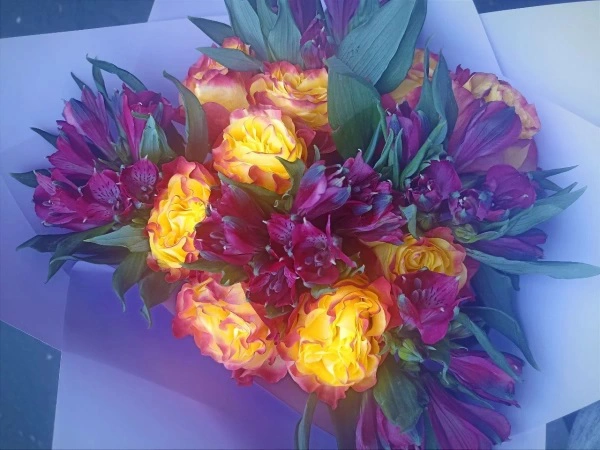 РБК Приморье