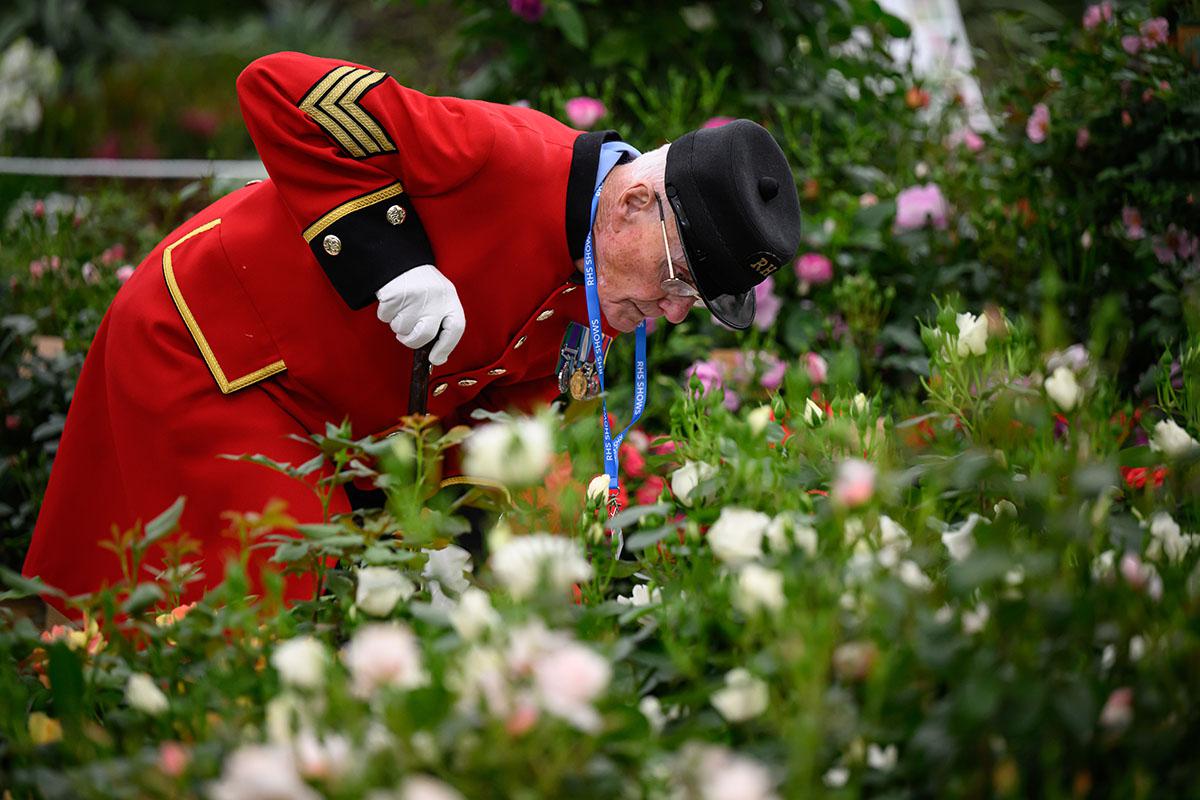Выставка цветов RHS Chelsea Flower Show 2026 – Лондон, Великобритания