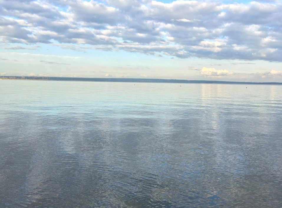 РБК Новосибирск