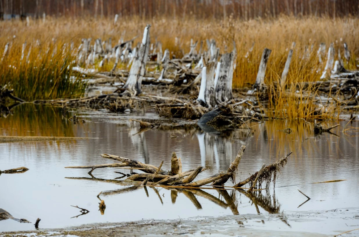Вадим Ахметов / РИА URA.RU
