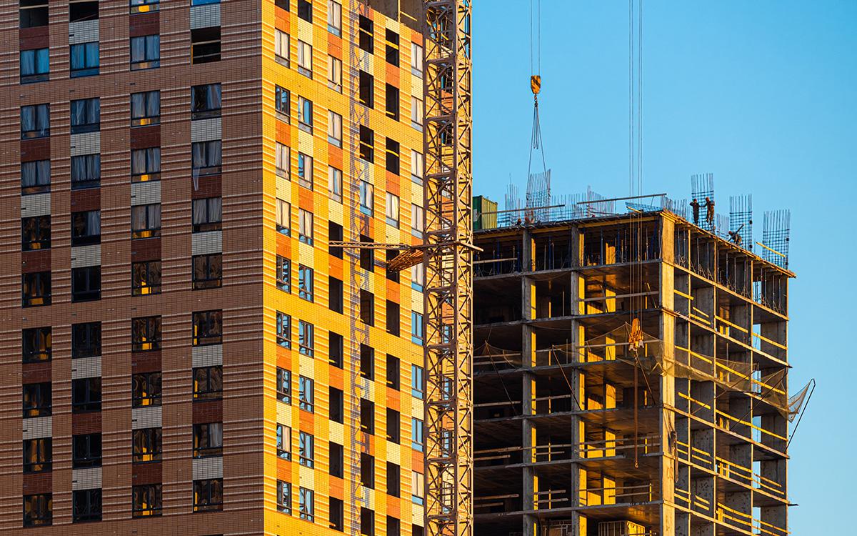 Фото: Oleg Opryshko / Shutterstock / FOTODOM