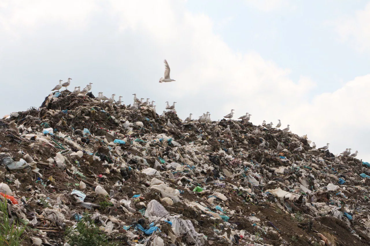 t.me/krasnoarm_admin