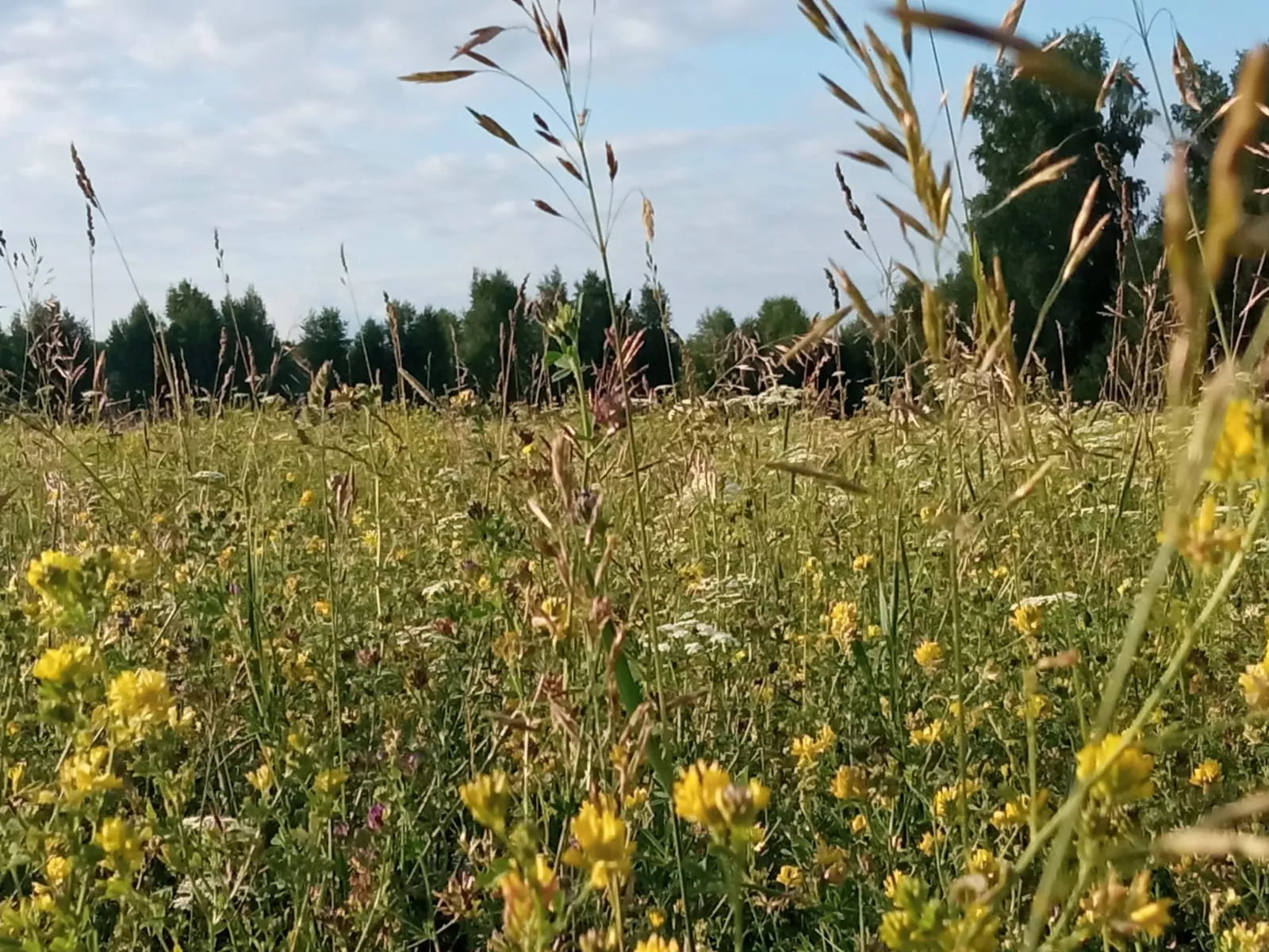 РБК Новосибирск