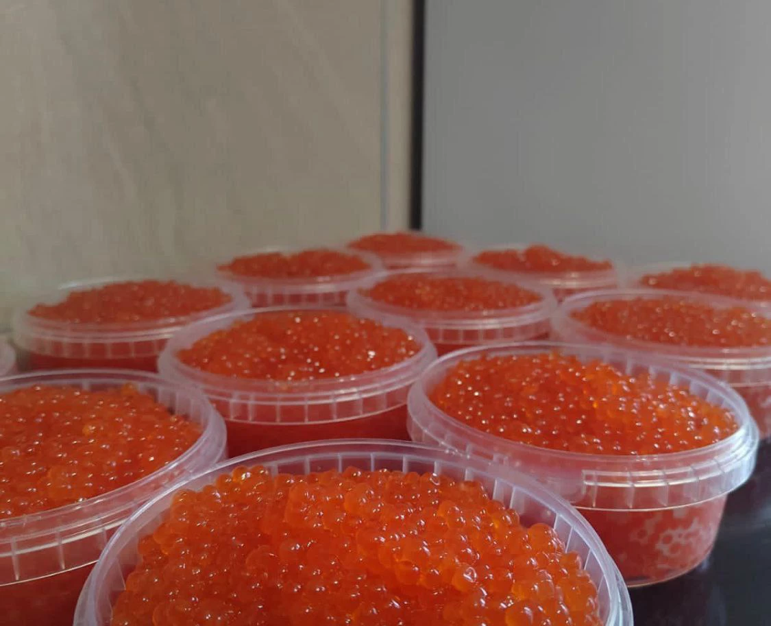 РБК Приморье