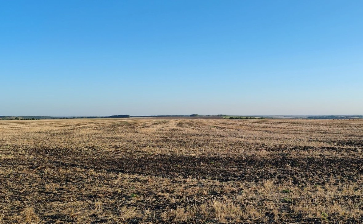 РБК Черноземье