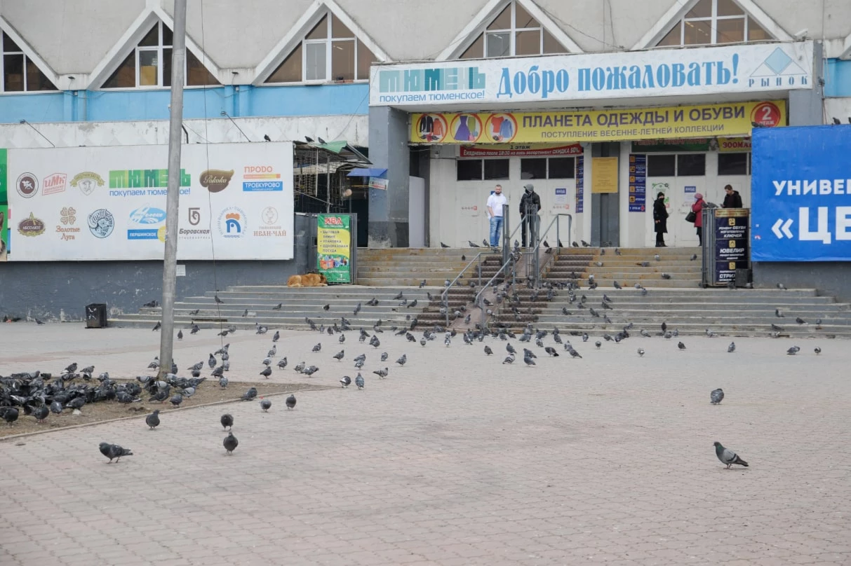 Дмитрий Ткачук / URA.RU