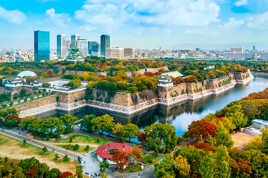 Фото: cowardlion / Shutterstock