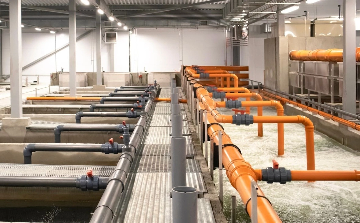 Корпорация развития Республики Карелия / vk.com