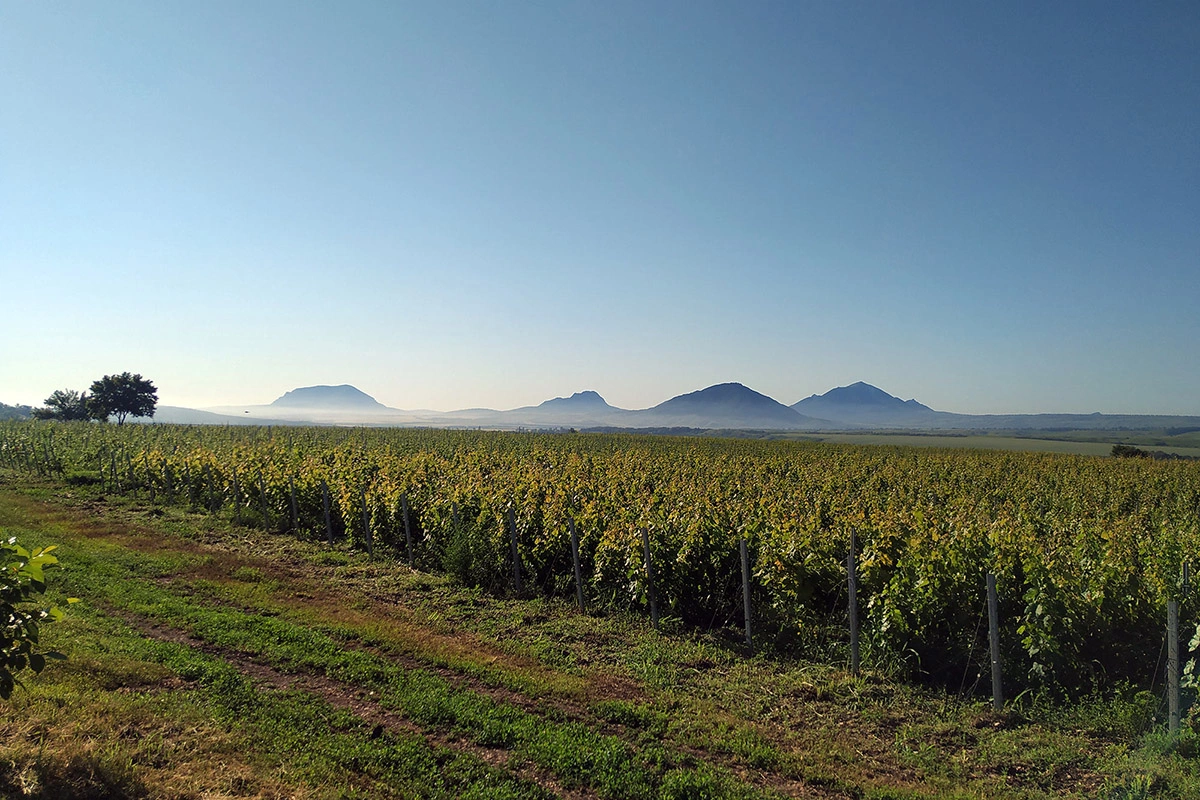 Винодельня Tempelhof Winery