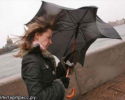 Циклон вновь принесет в Петербург штормовой ветер