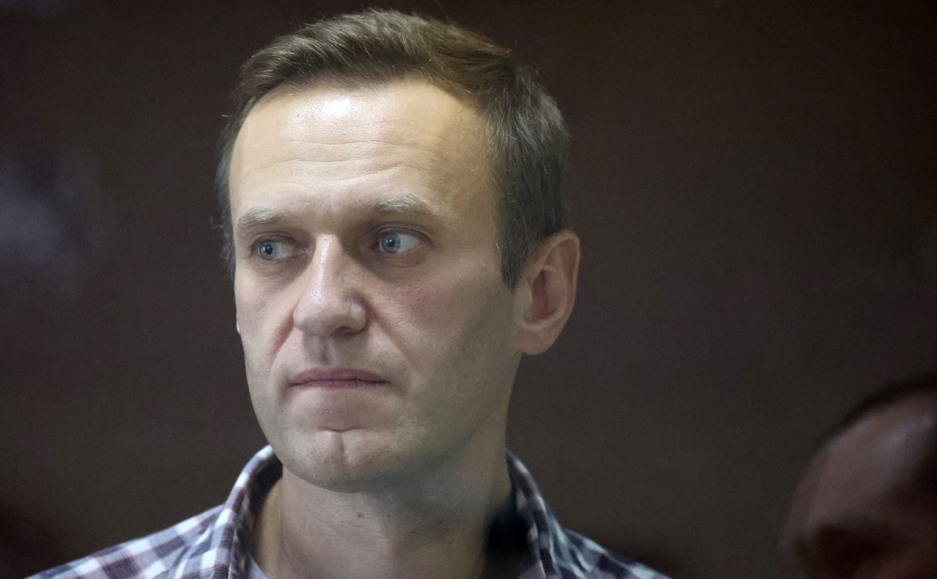 МИД счел нерабочей «санкционную кнопку» ЕС после решения по Навальному