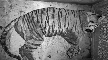 центр «Амурский тигр»