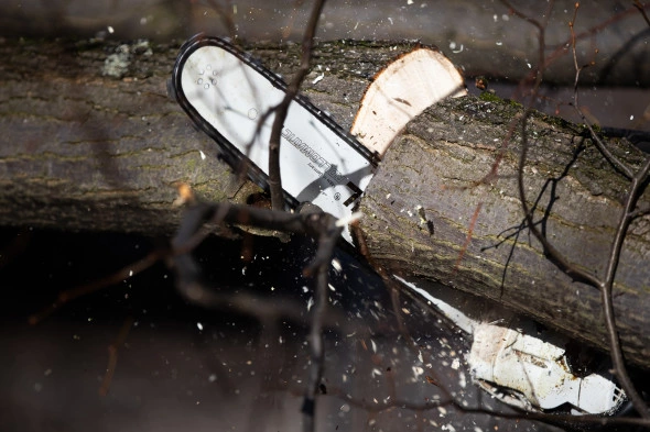 Александр Подгорчук