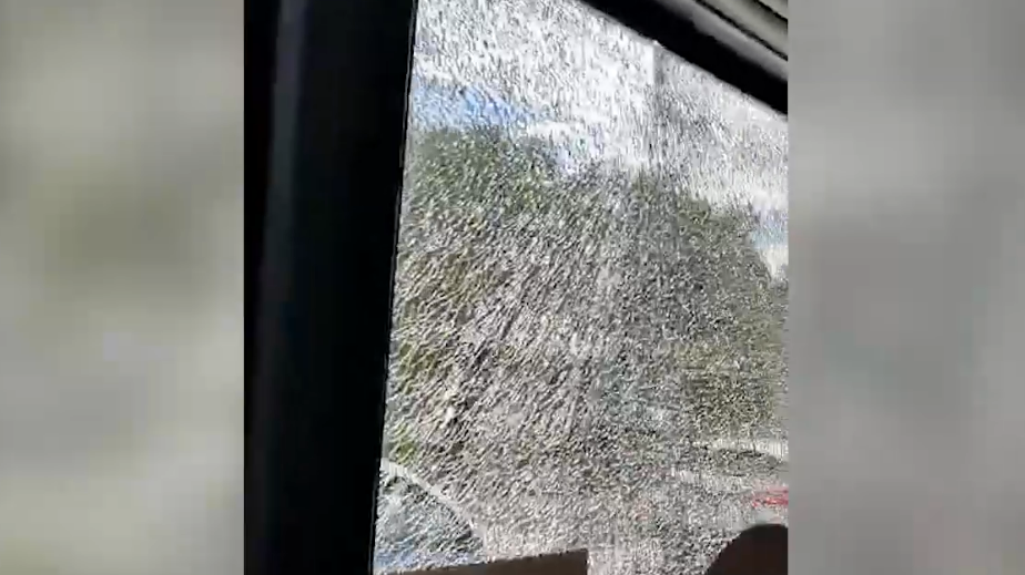 Стрелявший из окна в Бибирево мужчина свалил вину на щебетавших птиц