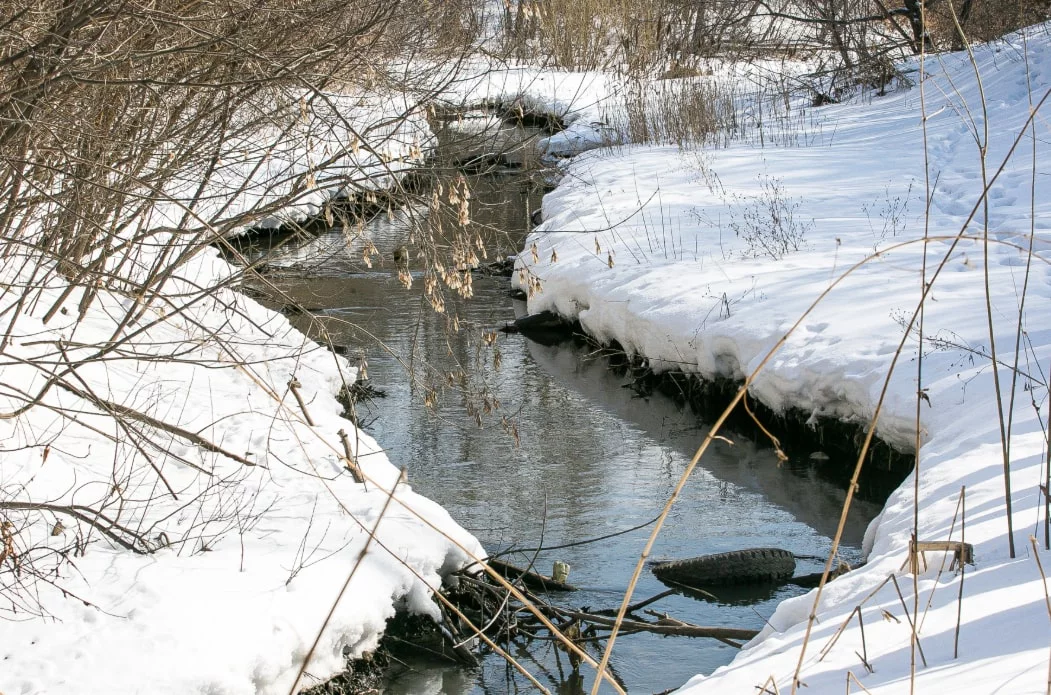 Денис Моргунов / URA.RU