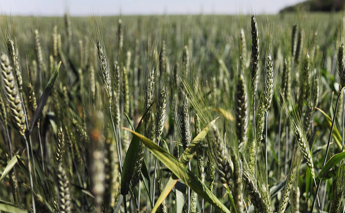Scott Olson / Getty Images