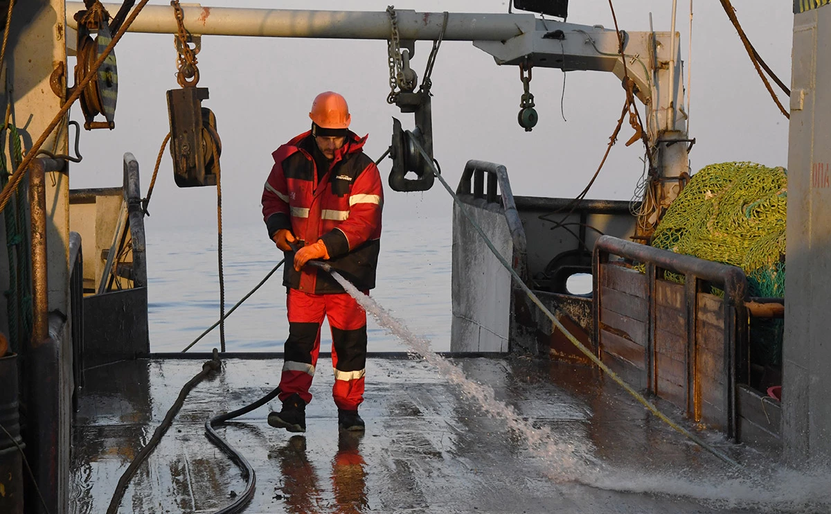  Виталий Аньков / РИА Новости