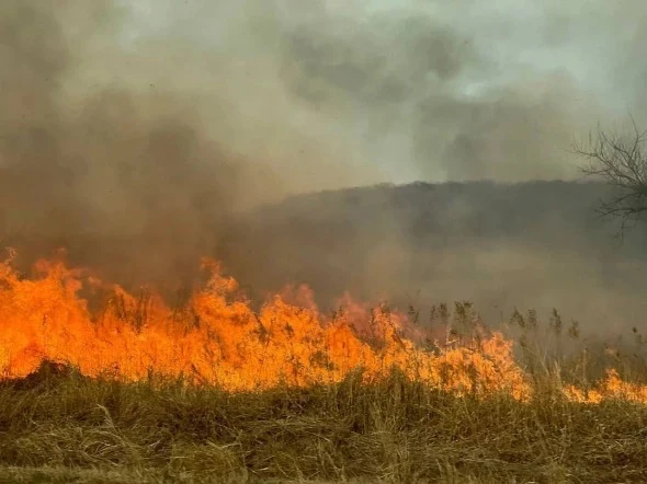 РБК Приморье