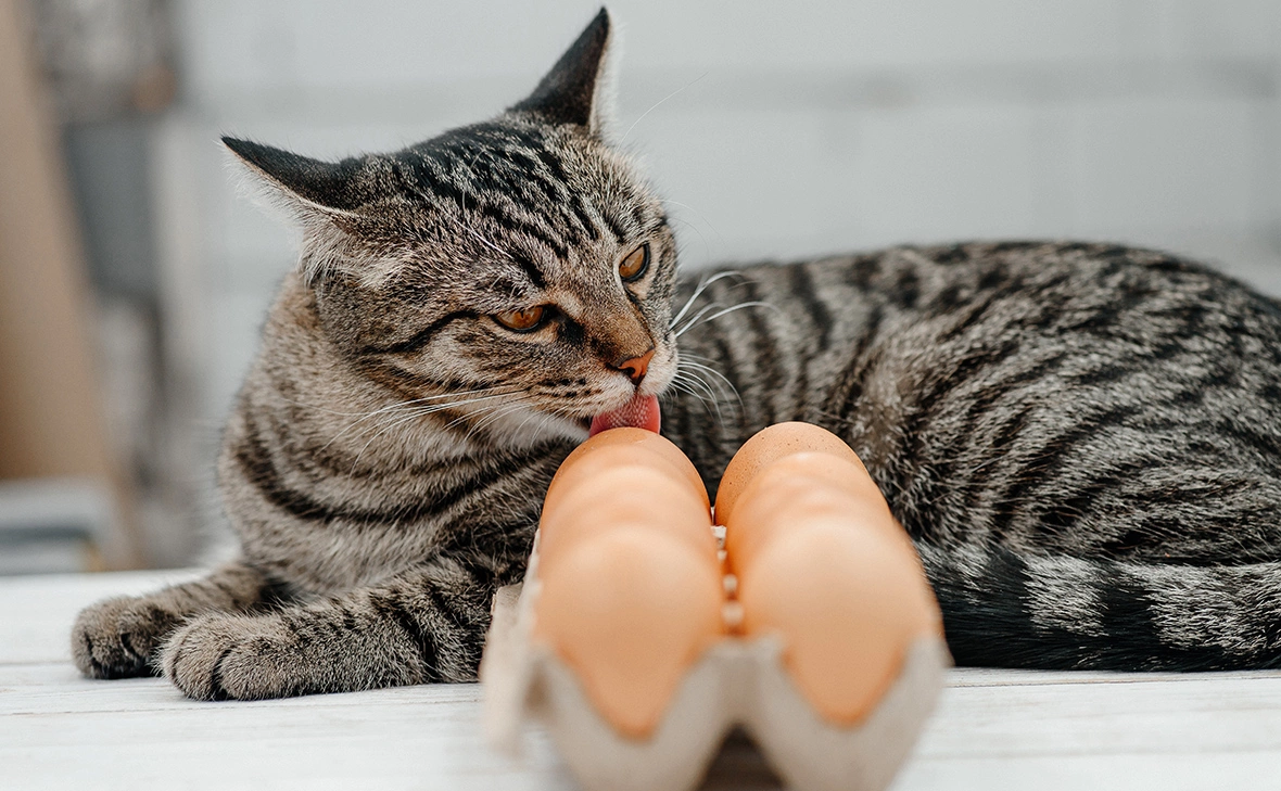 Антон Пентегов / Fotodom / Shutterstock