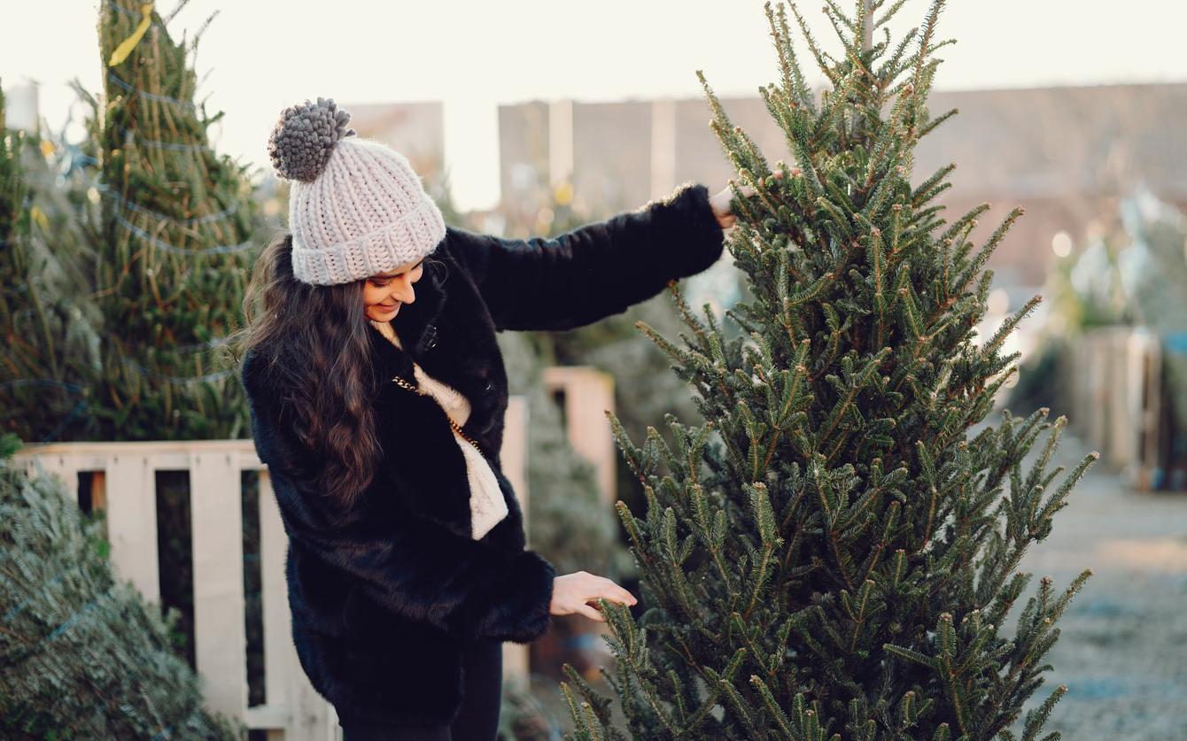 Фото: Oleggg / Shutterstock / FOTODOM