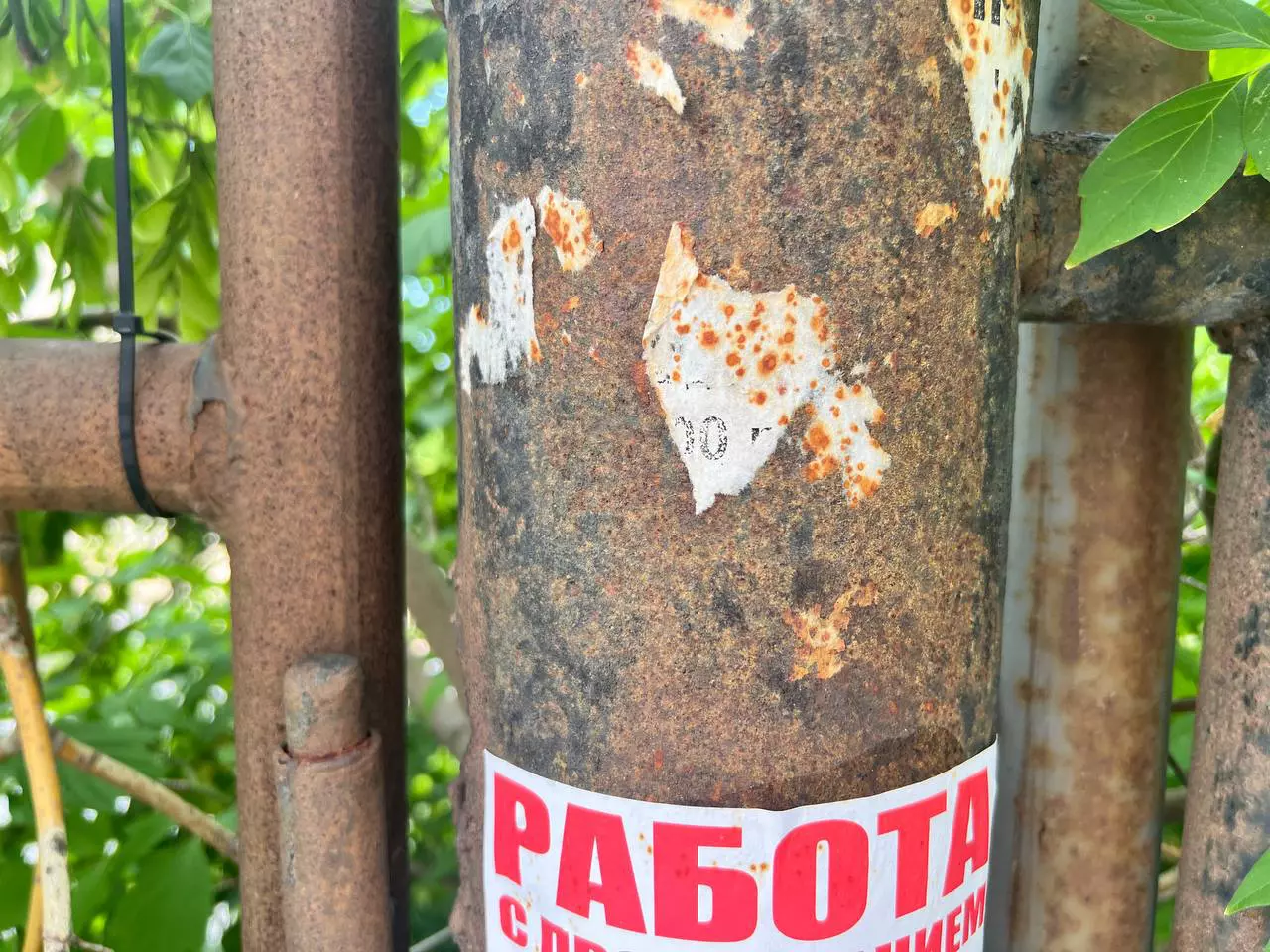 РБК Новосибирск
