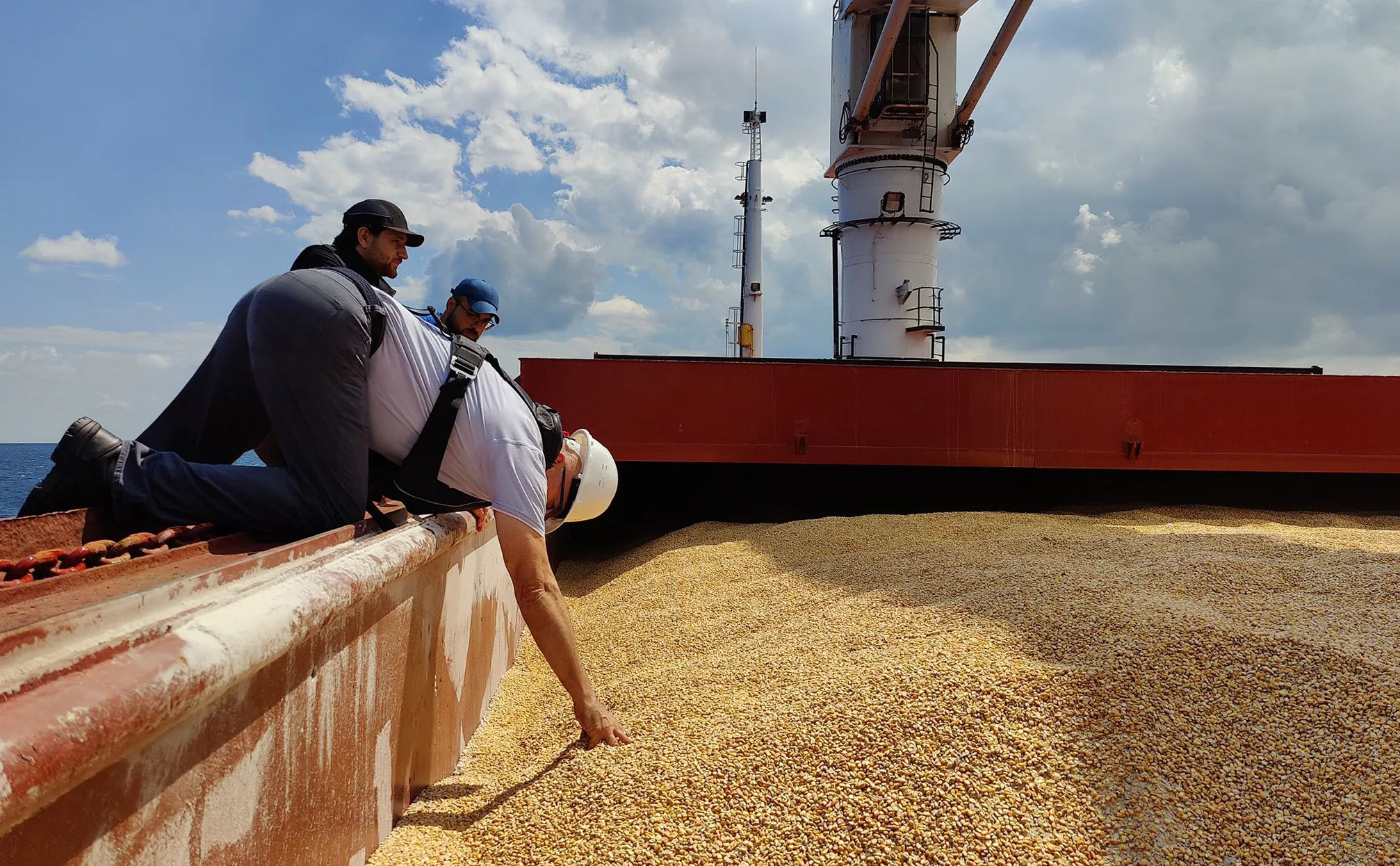 Минобороны Турции / ТАСС