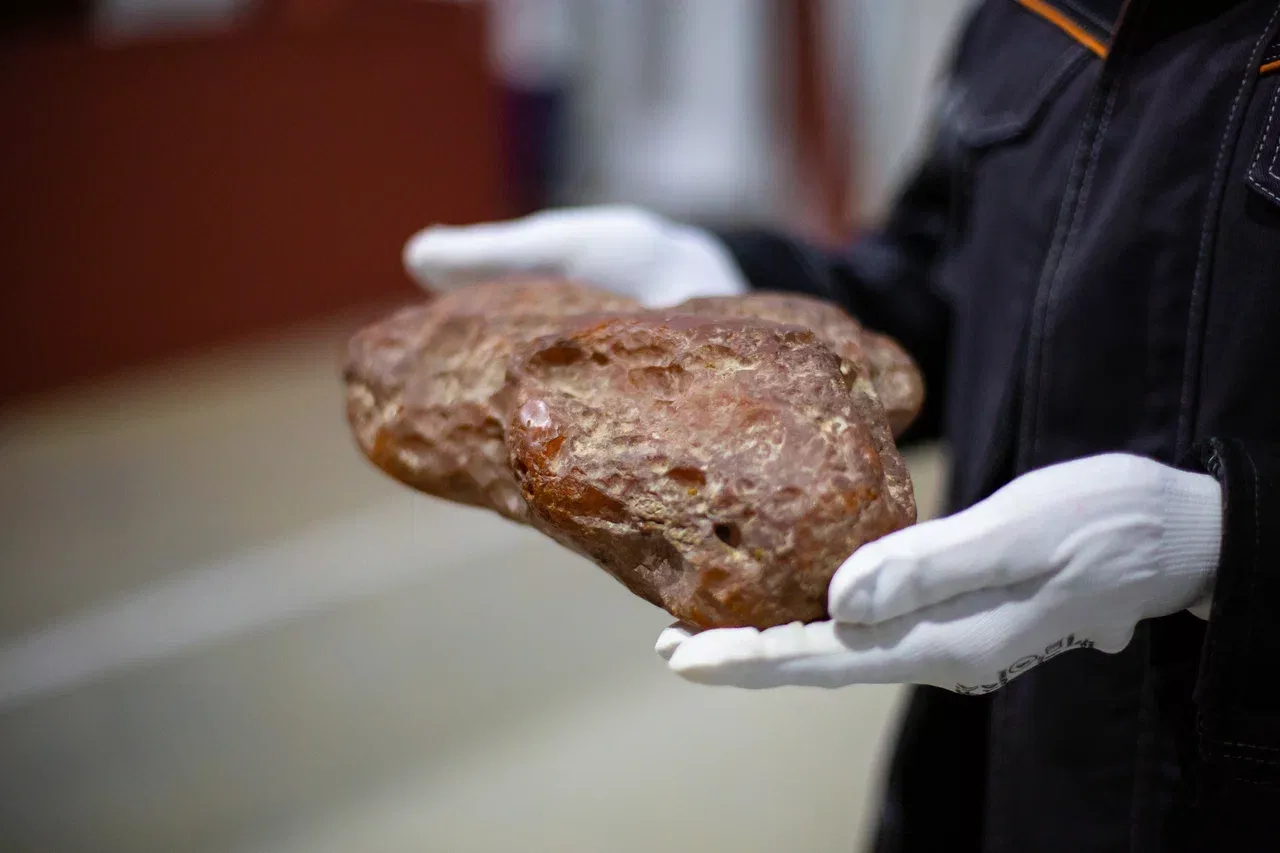 пресс-служба Янтарного комбината