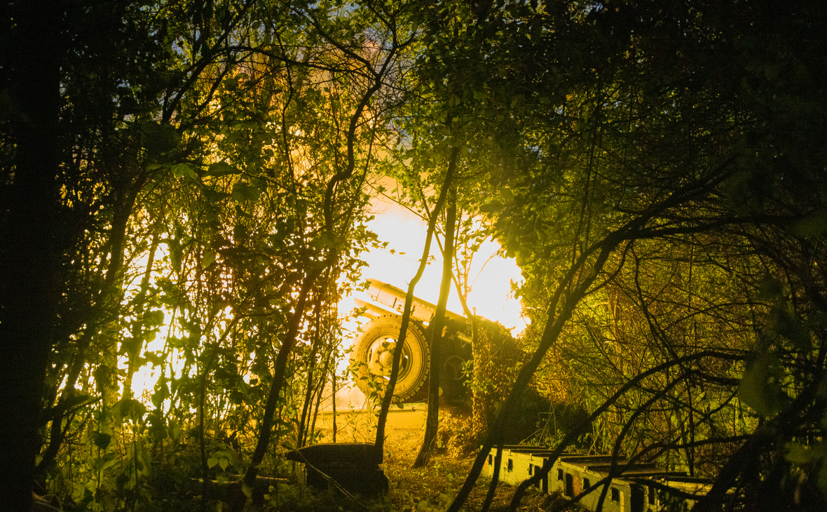 Nikoletta Stoyanova / Getty Images
