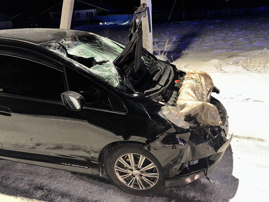 Фото: МВД России по Иркутской области