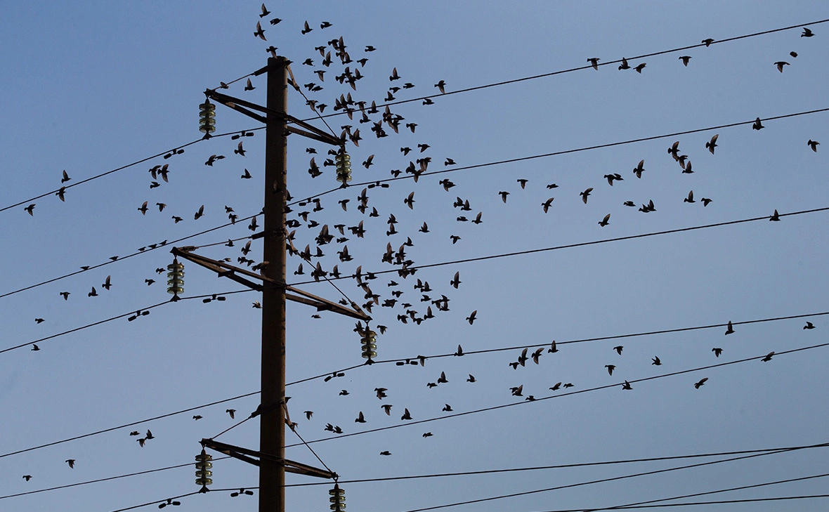 Сергей Мальгавко / ТАСС