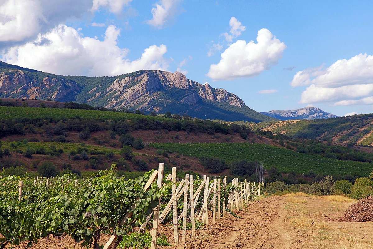 Винодел олицетворяет собой свое вино. Если винодел без изюминки, то и вино будет скучным