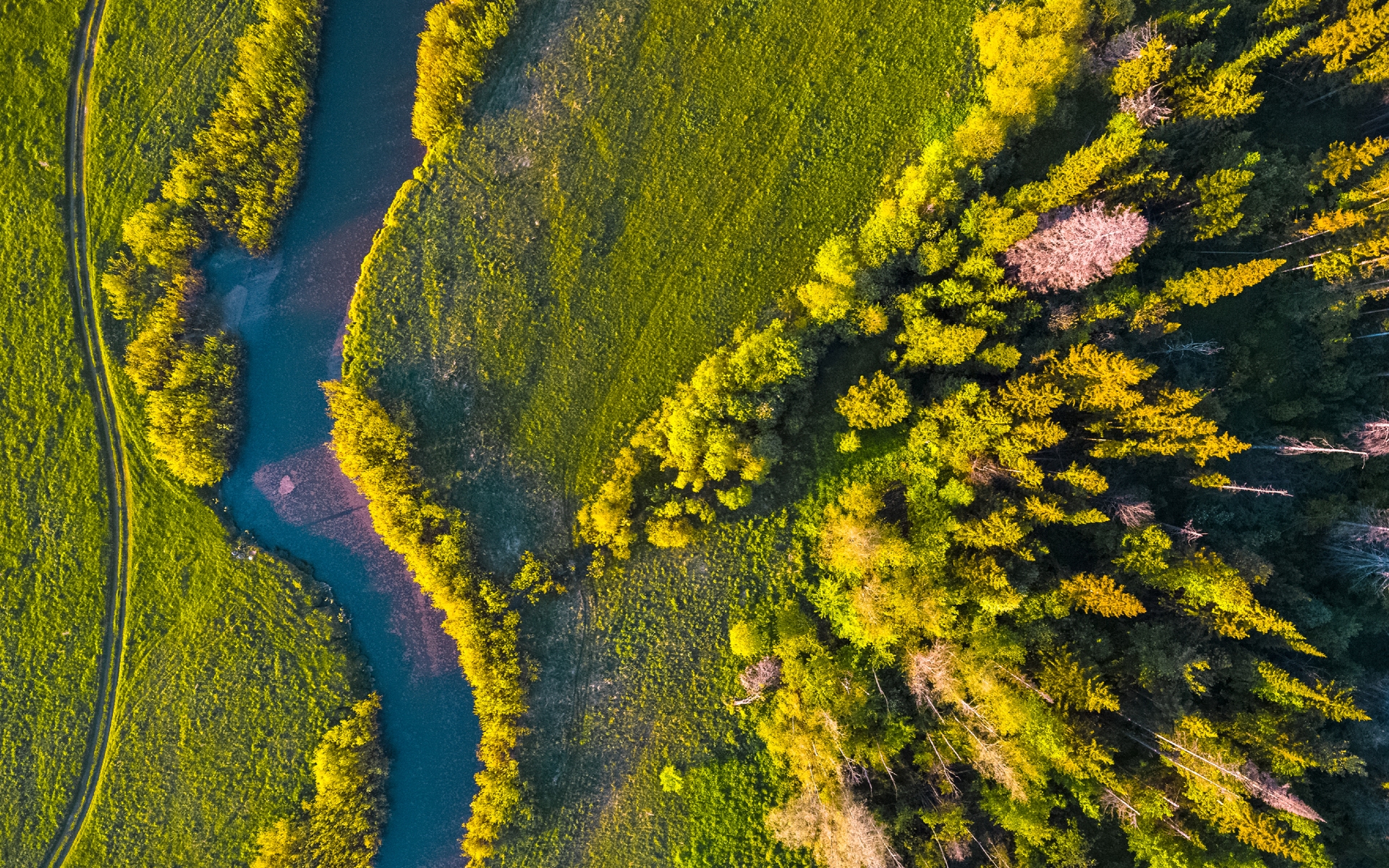 Фото: Dudarev Mikhail/shutterstock