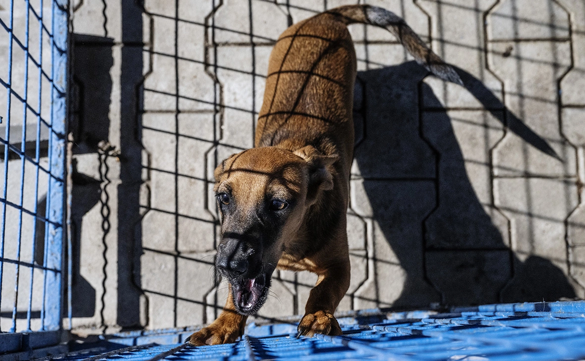 Илья Питалев / РИА Новости