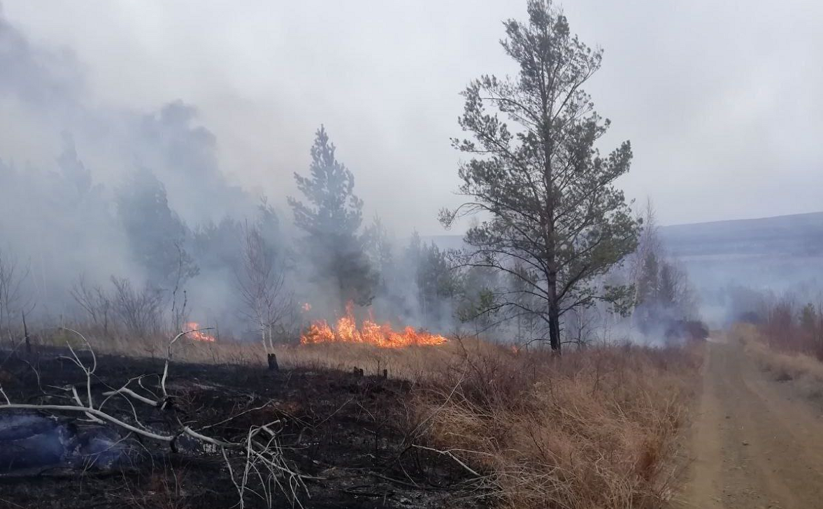 правительство Иркутской области
