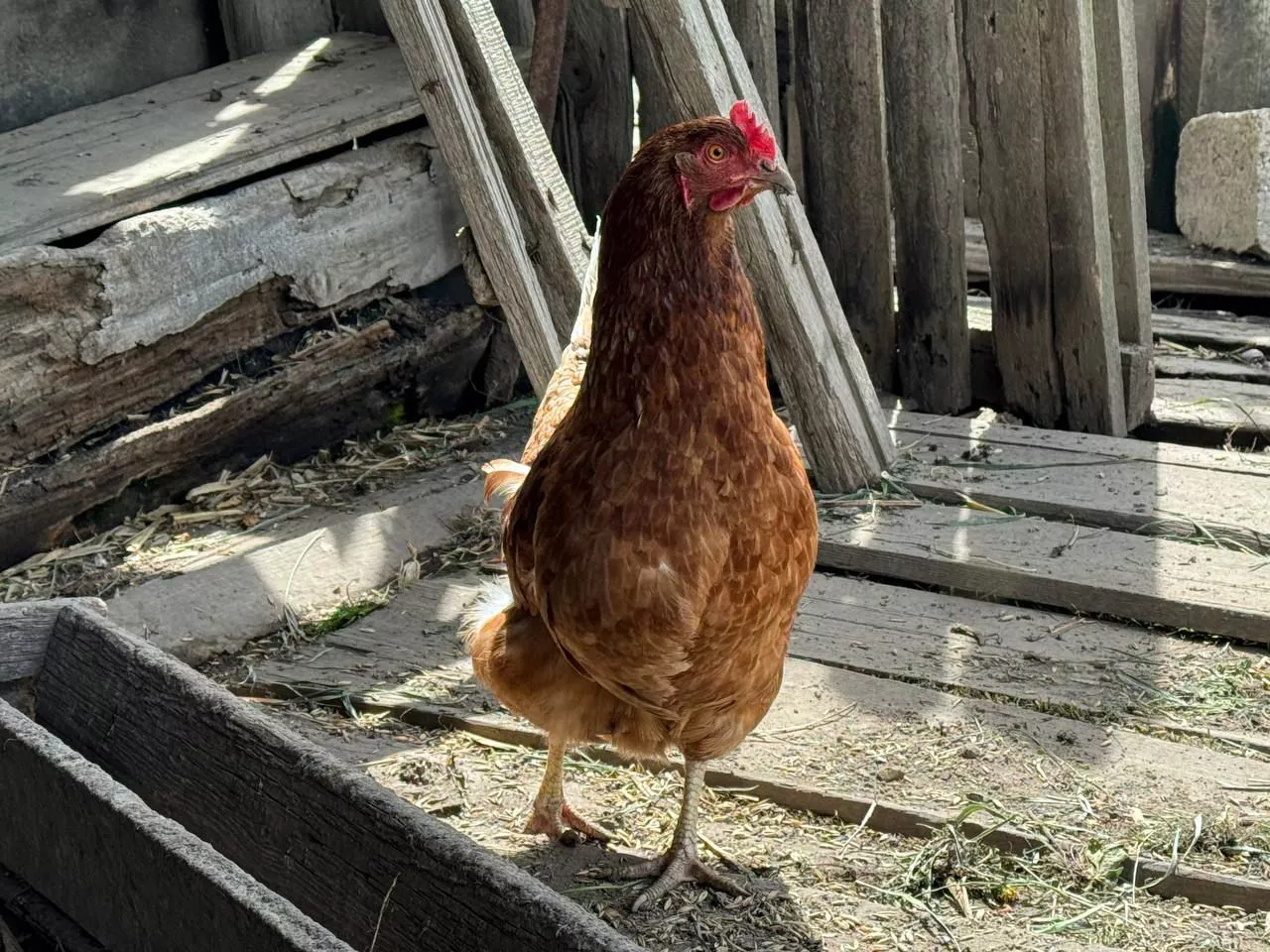 РБК Приморье