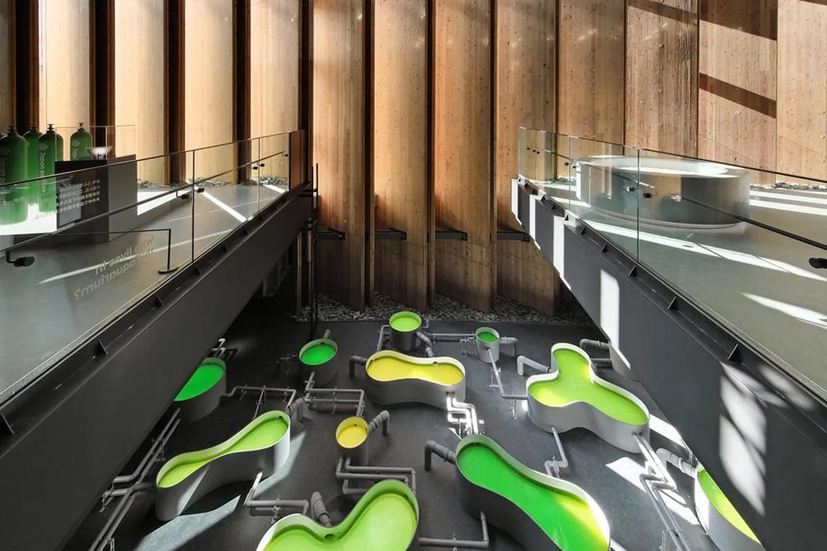 Объявлены победители архитектурного «Оскара»-2025. Как выглядят