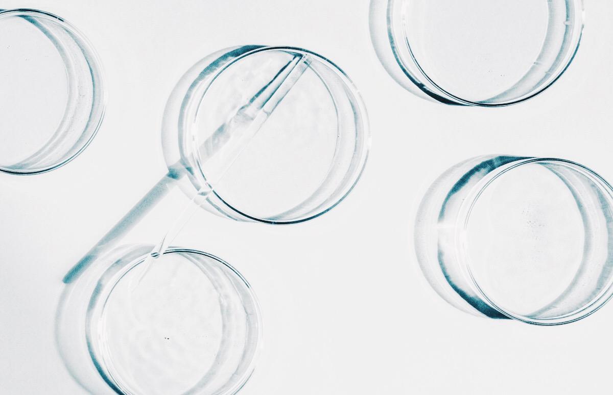 5 трендов качества жизни в 2026 году: перечисляют врачи