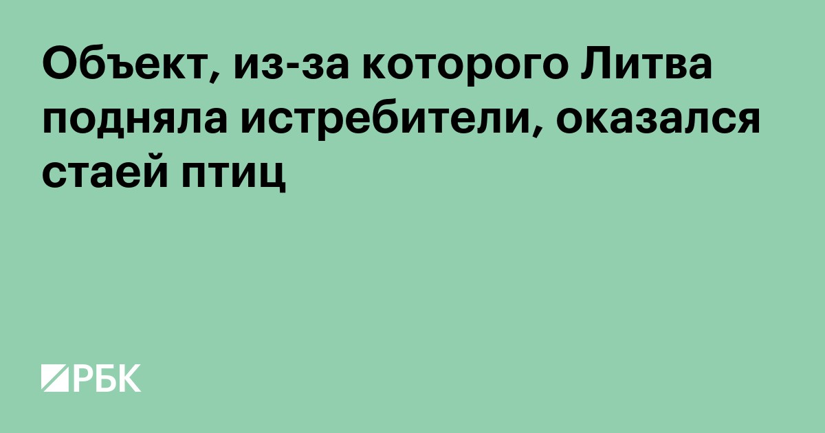 Литва подняла истребители и включила тревогу из-за стаи птиц