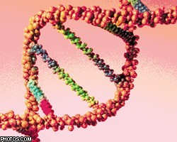 Японские ученые впервые создали искусственную ДНК