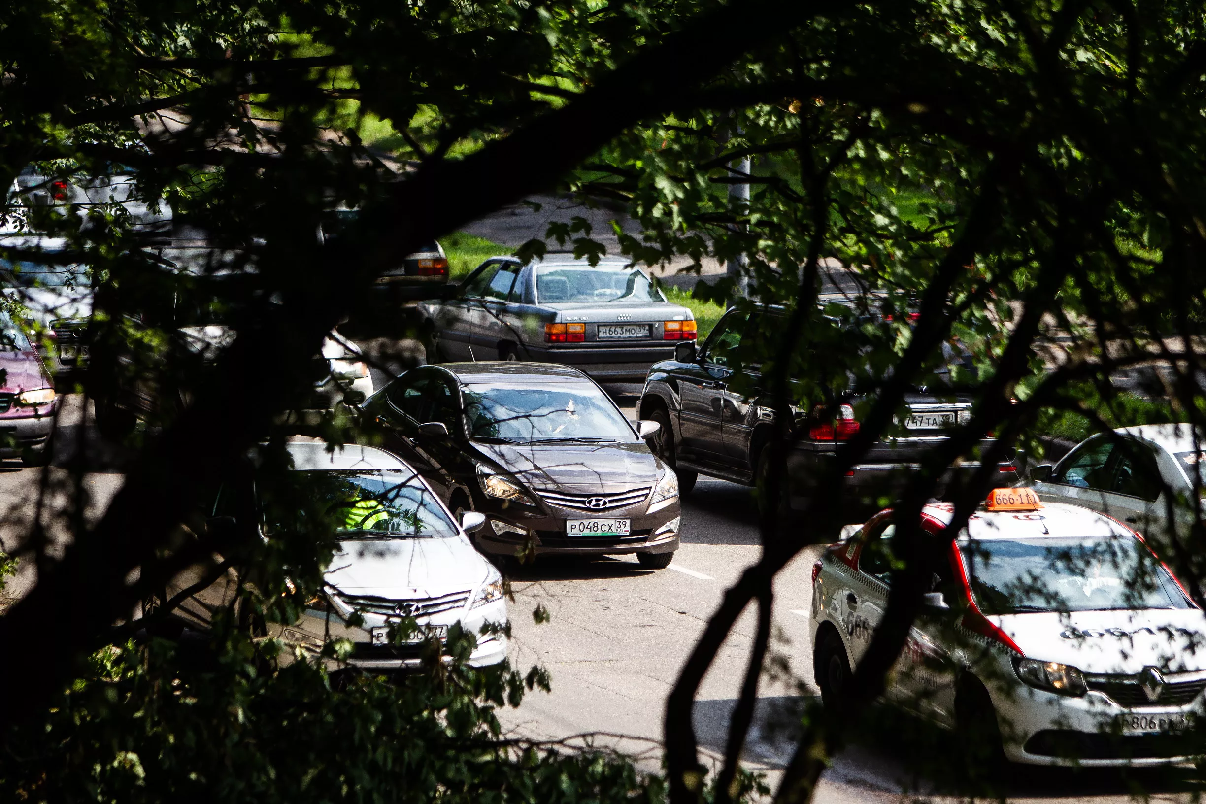 Александр Подгорчук